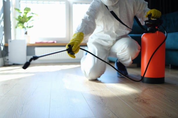 Reliable Sewage Cleanup contractor in Hanover, MD by Trauma Clean Pros